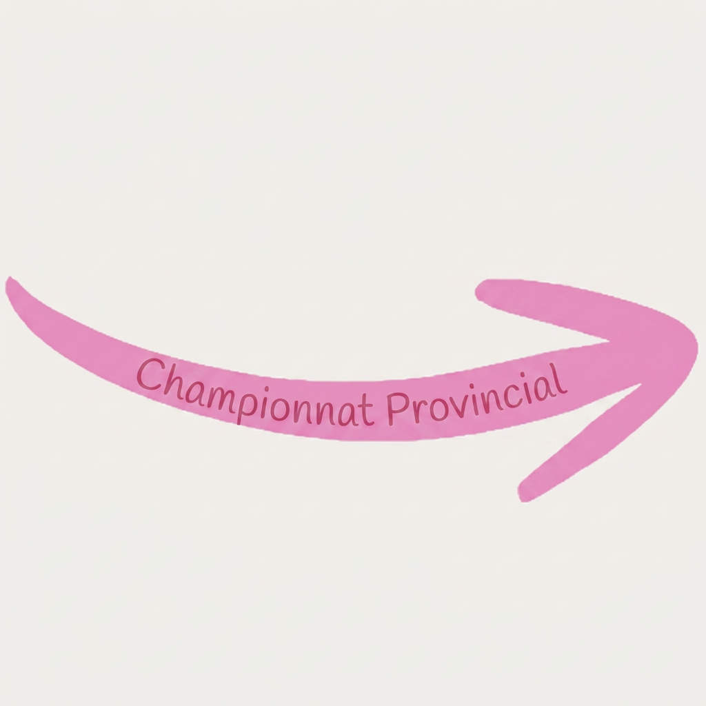 AI Design for peut tu m'écrire Championnat Provincial à l'intérieur de la flèche que je t'ai envoyer