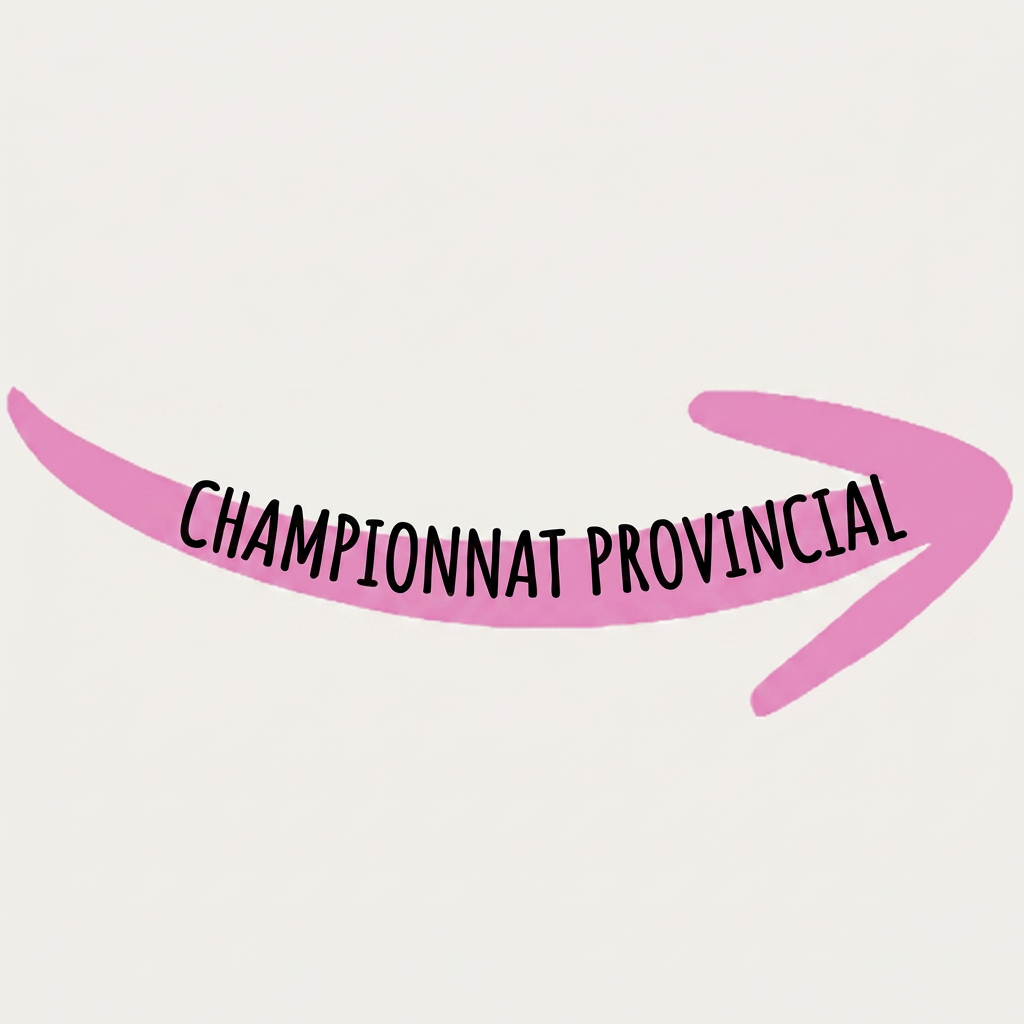 AI Design for peut tu m'écrire Championnat Provincial à l'intérieur de la flèche que je t'ai envoyer en noir