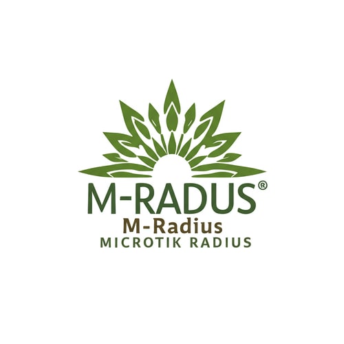 AI Design for replace MOjhruin with M-RADIUS and remove M-Radius