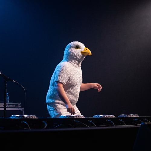 AI Design for Dodo Bird performing as DJ