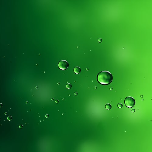 AI Design for Fine water droplets A macro-focused, minimalist composition with sharp clarity on the water elements, A vibrant palette consisting of deep green and bright parrot green, Crisp HDR lighting that enhances the luminosity and reflective quality of the mist, Modern vector graphic design style featuring smooth gradients and clean professional lines, Maintain a strictly stylized vector aesthetic with no photographic elements or noise, A seamless background blending intense green and parrot green tones.
