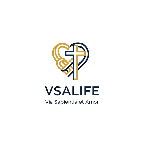 AI Design for Minimalist vector logo for a Christian fundraising platform featuring a stylized heart icon interwoven with a clean, modern Latin cross — Centered icon above the primary text "VSALIFE" with the tagline "Via Sapientia et Amor" positioned directly underneath, Trustworthy deep navy blue and gold, Bright and professional, Flat vector graphic with clean geometric lines, Keep text "VSALIFE" and "Via Sapientia et Amor" EXACTLY unchanged; no rewriting, redrawing, correcting, or adding any text; no photographic elements or complex shadows, Isolated on a solid white background.