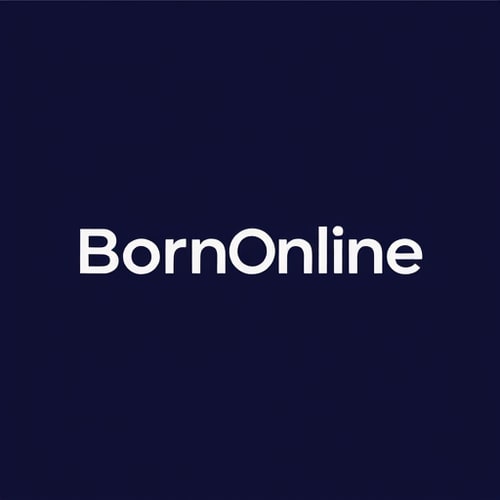 AI Design for https://bornonline-srl.com/wp-content/uploads/2022/01/3.png