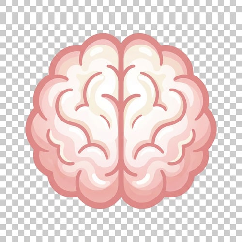 AI Design for make the background transparent also change the brain color to pinkish on the outside and mostly white on the inside, with subtle variations in color