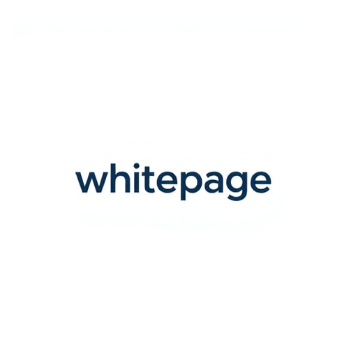 AI Design for Minimalist for a tech startup named "white page": Abstract representation of data flow, Cool blues and grays, Clean sans-serif font. Design inspired by modern data visualization, Geometric shapes and smooth gradients, White background.