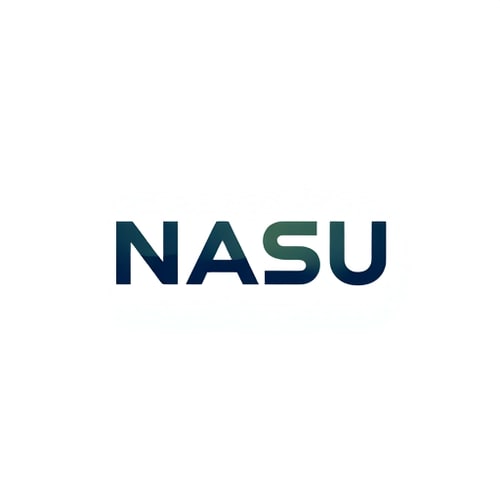AI Design for NASU is a logo editing company so i want that type logo