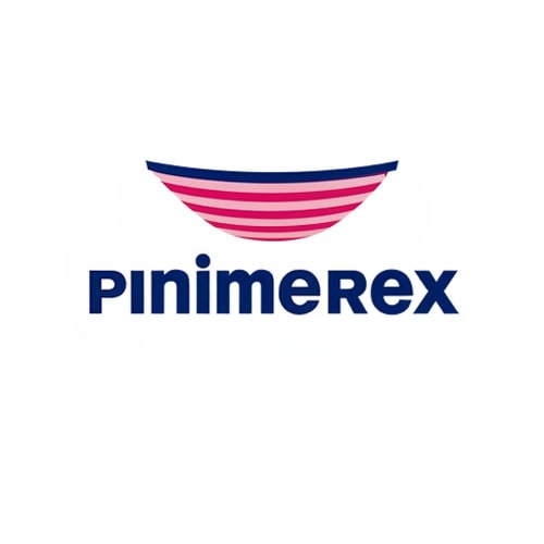 AI Design for PLease change the pink color to red