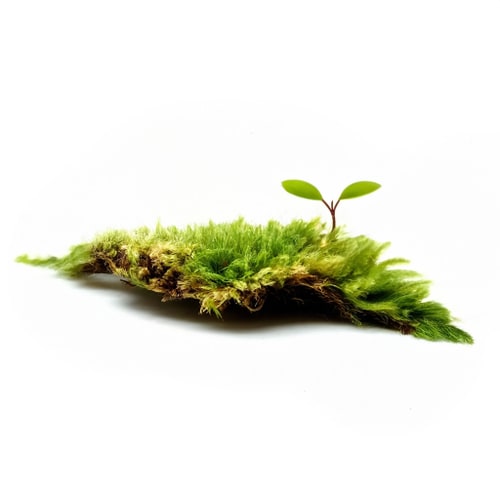 AI Design for fill the masked area naturally