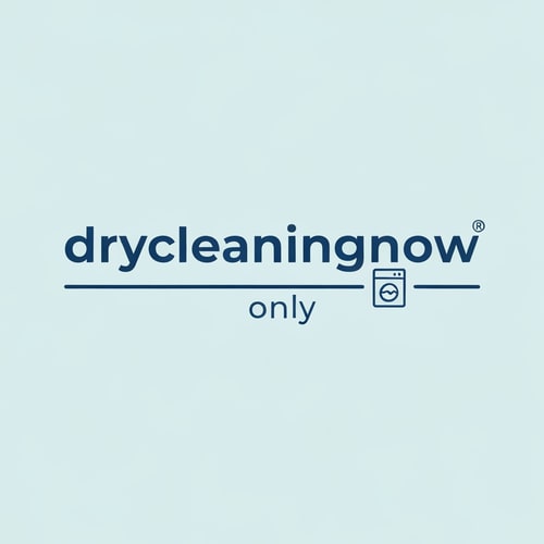 AI Design for drycleaningnow LOGO with washingmachine icone only icone