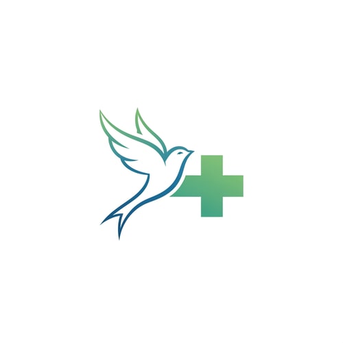 AI Design for Flyhealth a medical tourism logo only logo not yse text
