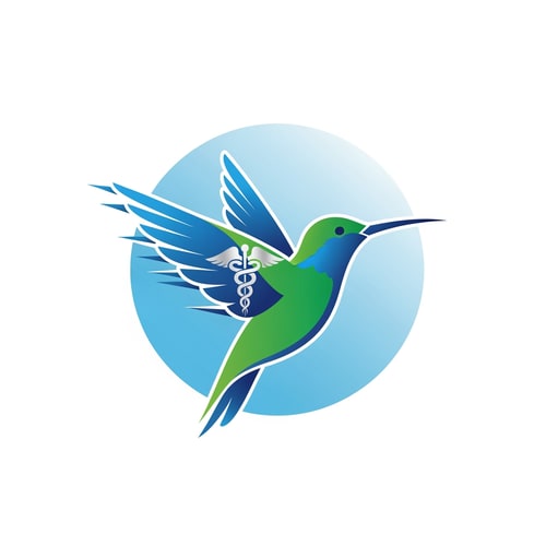 AI Design for Flyhealth a medical tourism logo only logo not yse text