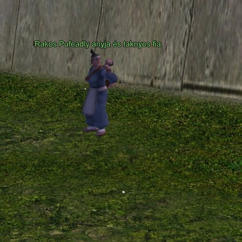 AI Design for Nevezd at arra Rakos Pufeadly anyja és taknyos fia. Pontosan írd igy le