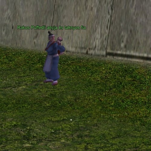 AI Design for Nevezd at arra Rakos Puffedli anyja és taknyos fia. Pontosan írd igy le