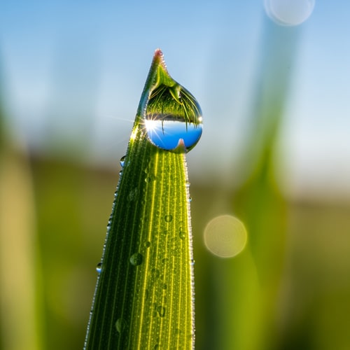 AI Design for enhance quality