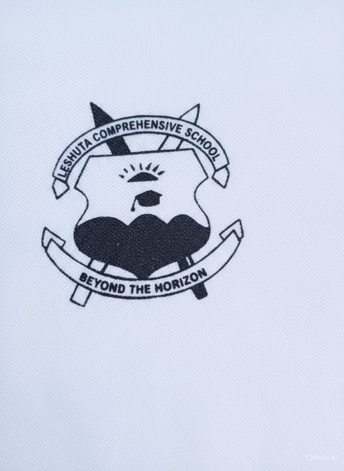 AI Design for create a logo exactly like this. the name change to Leshuta Comprehensive School