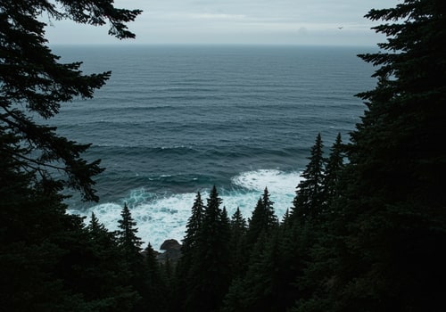 AI Design for Ocean, forest image with dark colors