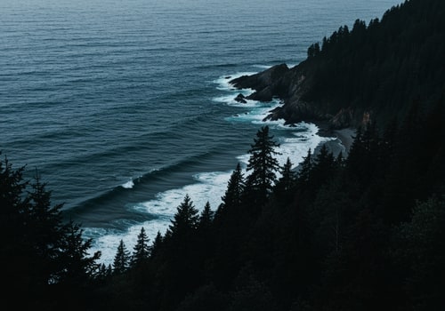 AI Design for Ocean, forest image with dark colors