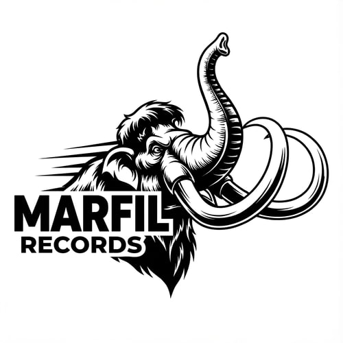 AI Design for could you put the letters "marfil records" in the sense to be read