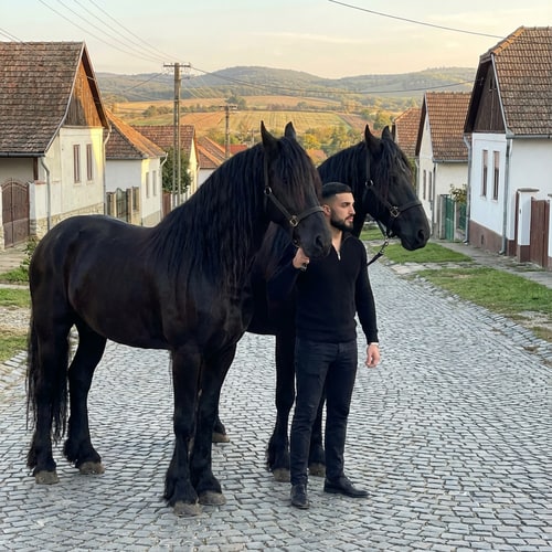 AI Design for Szerkeszd meg ezt a képet úgy hogy állok 2 freez ló mellet Magyország- Komádi városában sokkal távolabbról legyen fotózva és ilyen oldalas legyen