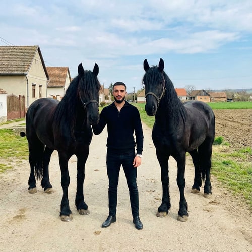 AI Design for Szerkeszd meg ezt a képet úgy hogy állok 2 freez ló mellet Magyország- Komádi városában sokkal távolabbról legyen fotózva