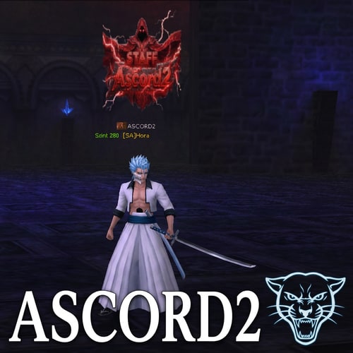 AI Design for Szerkeszd meg Grimmjowos kosztümre. Alulra legyen oda írva Ascord2 és 1 Grimmjowos logo legyen a bleachből