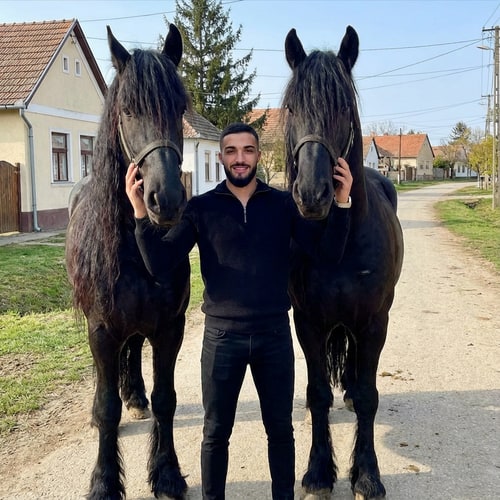 AI Design for Szerkeszd meg ezt a képet úgy hogy állok 2 freez ló mellet Magyország- Komádi városában