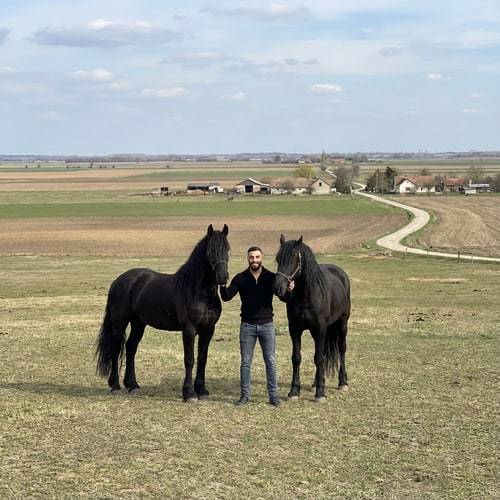 AI Design for Szerkeszd meg ezt a képet úgy hogy állok 2 freez ló mellet Magyország- Komádi városában sokkal távolabbról legyen fotózva