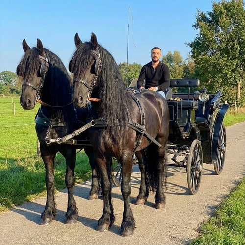 AI Design for Szerkeszd meg ezt a képet úgy hogy 1 freez lovak mellet vagyok és ülök a hintón