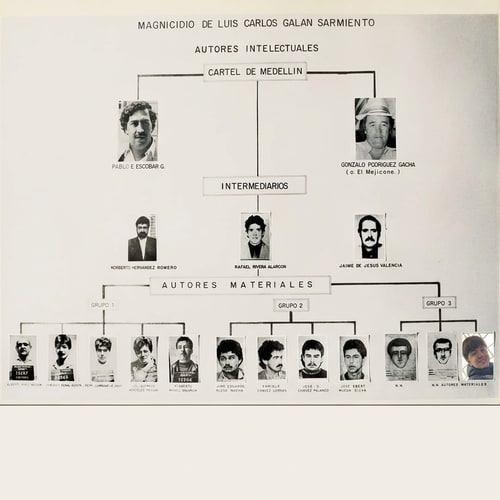 AI Design for Pon a la persona que esta sonriendo de la foto 2, en la foto 1 abajo a la derecha. NO cambies nada de la foto 1, solo pon a la persona como si fuera un arbol genealogico