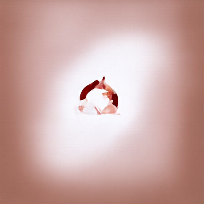 Professional logo design. cats