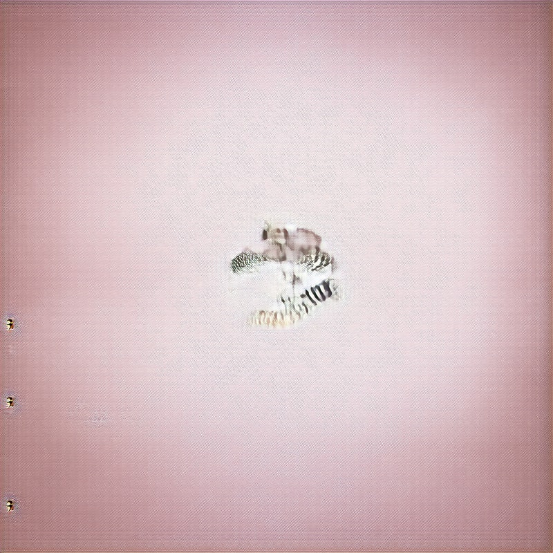 Professional logo design. cats