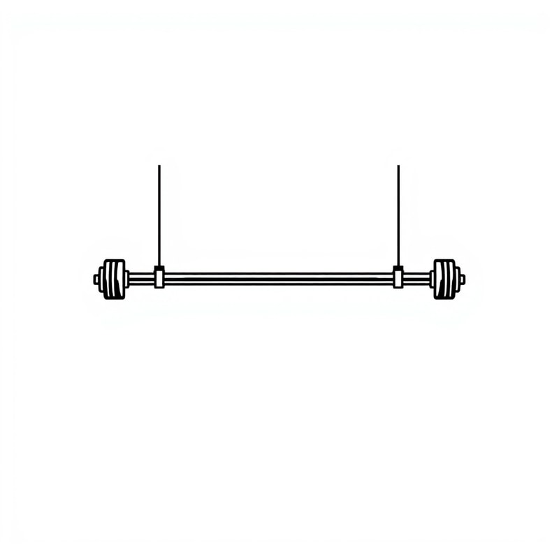 Professional logo design. A torsion bar connected to opposing parallelogram legs is employed to assist in____________________. suspension lifting synchronization checking cleaning 
