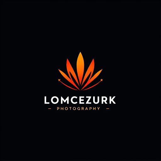 Professional logo design. photography
