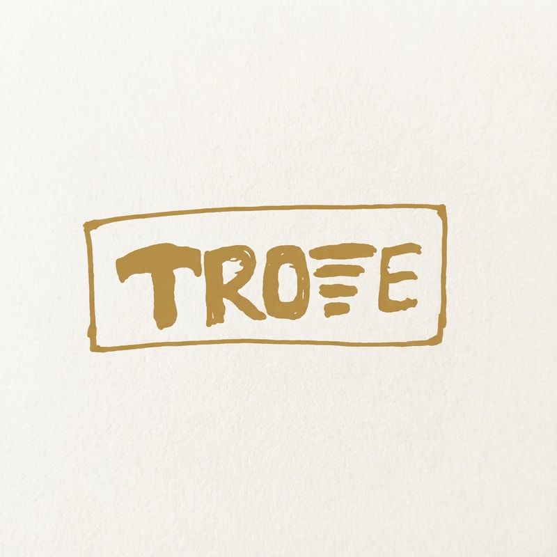 #B79044 i want this colour code logo