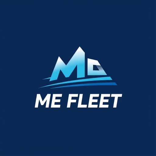 Professional logo design. ME FLEET