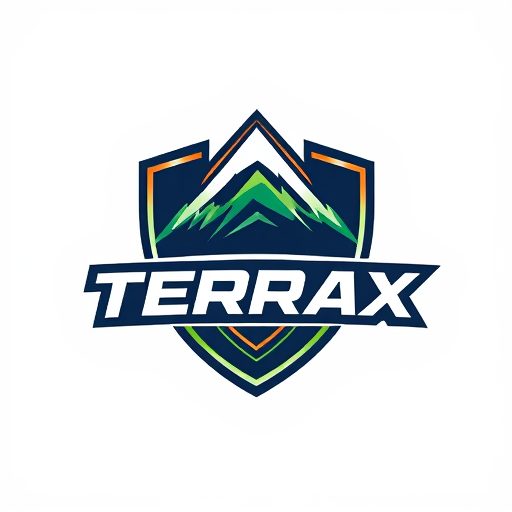 Professional logo design. TERRAX E Sports 