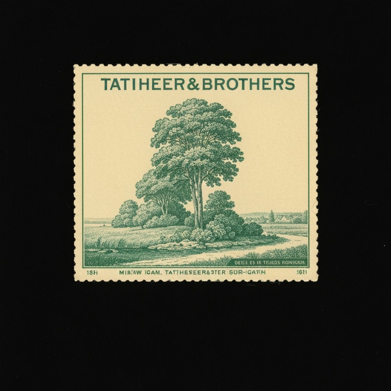 MNH TATHEER&BROTHERS