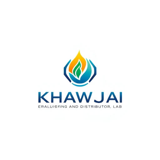 Professional logo design. make a logo for my company company description. we are working in petroleum gas, my company name is khawaja traders and distributor. give me three to four options also create letterhead for me as well