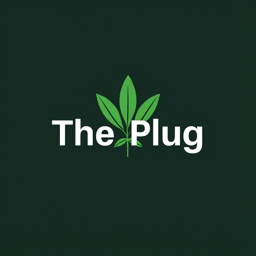 Professional logo design. create an logo for Cannabis the name of the company is "The Plug" so create the logo