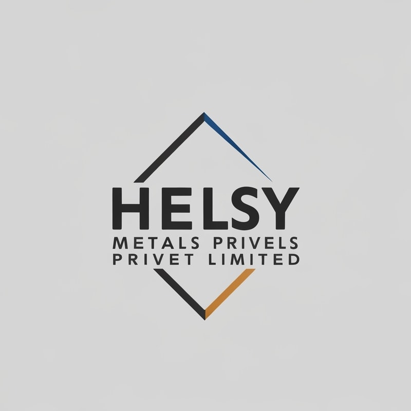 Professional logo design. helsy metals privet limited logo