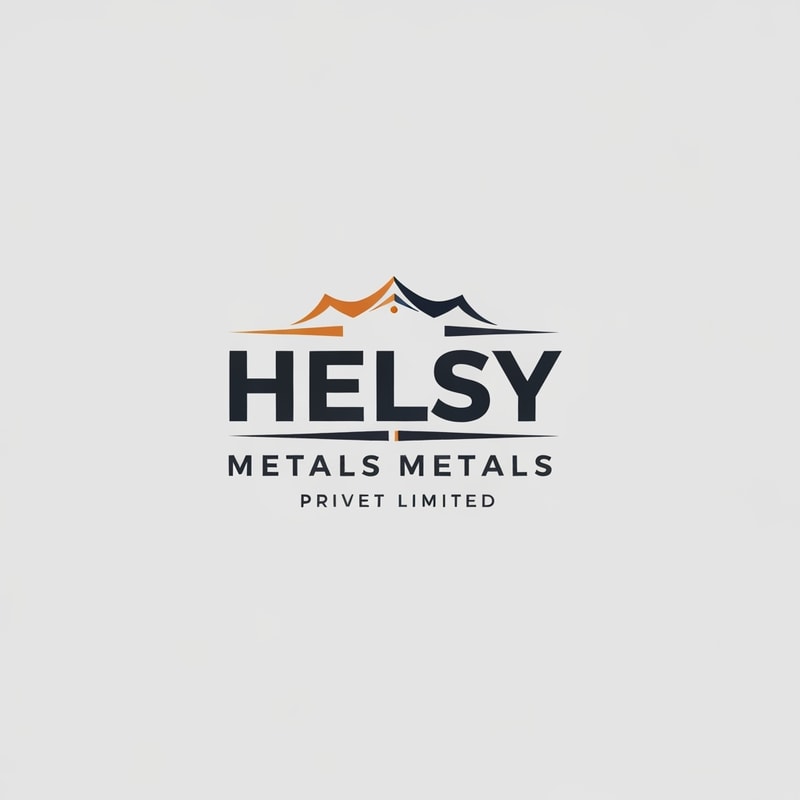 Professional logo design. helsy metals privet limited logo