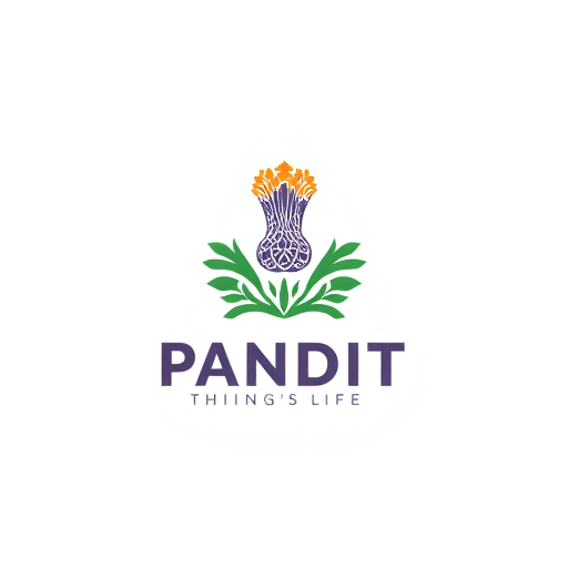 Professional logo design. india first pandit