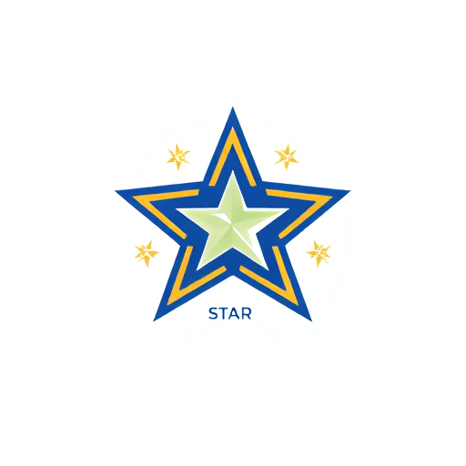 Professional logo design. Star cleaner
