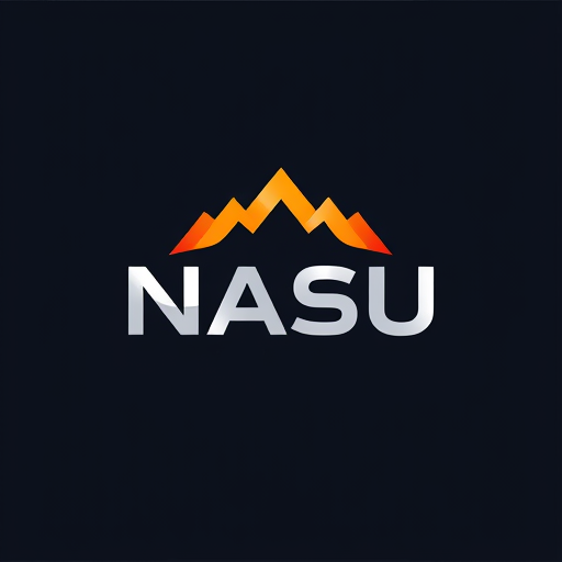Professional logo design. NASU  is a logo editing company so i want that type logo
