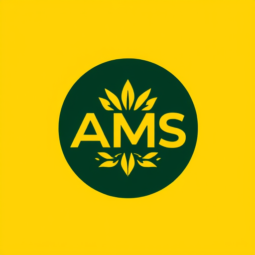 Professional logo design. AMS