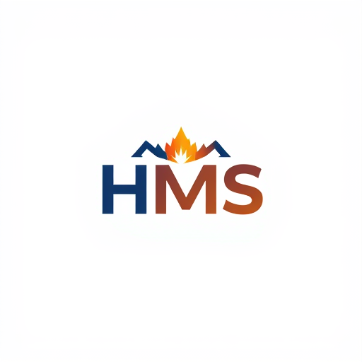 Professional logo design. give me this type logo in this under put the name hms