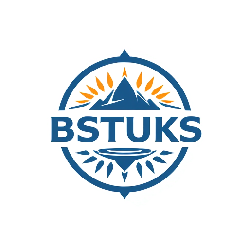 Professional logo design. BSTUKS