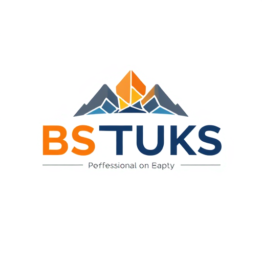 Professional logo design. BSTUKS