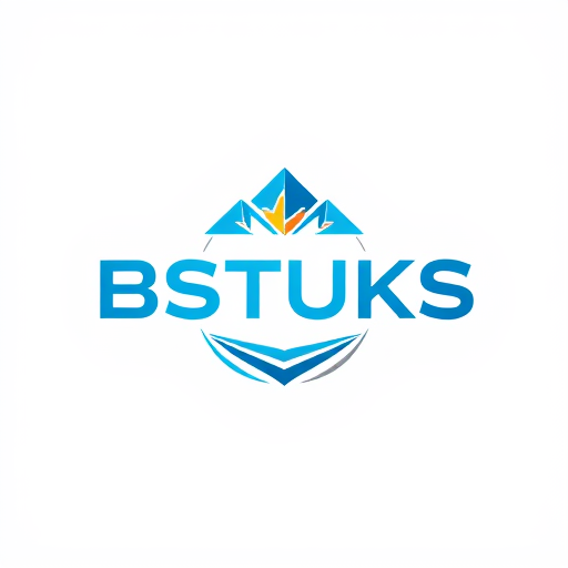 Professional logo design. BSTUKS