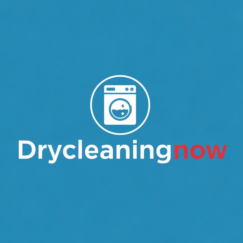drycleaningnow LOGO with washingmachine icone